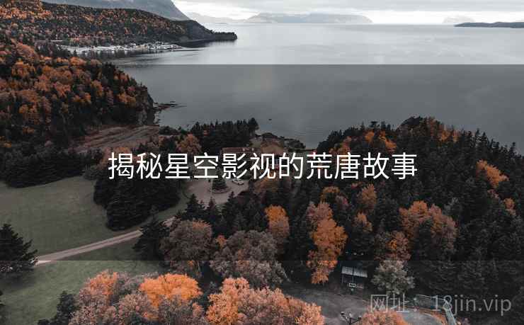揭秘星空影视的荒唐故事
