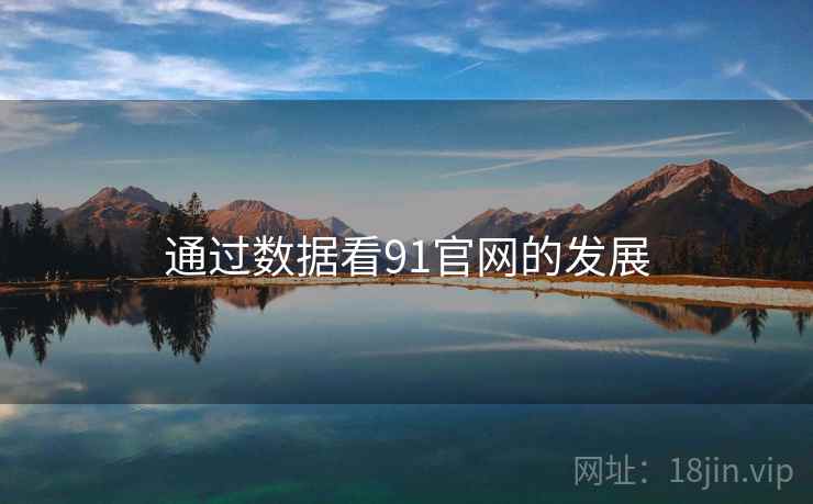通过数据看91官网的发展