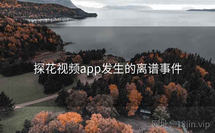 探花视频app发生的离谱事件