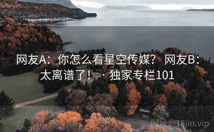 网友A:你怎么看星空传媒? 网友B:太离谱了! · 独家专栏101
