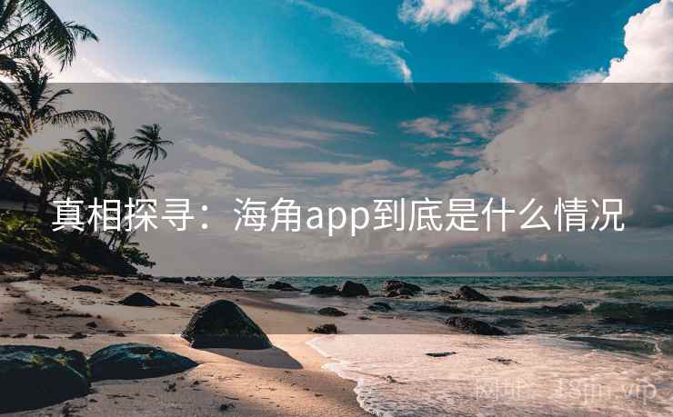 真相探寻:海角app到底是什么情况
