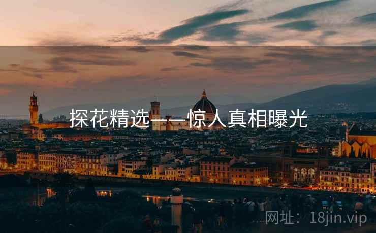 探花精选——惊人真相曝光