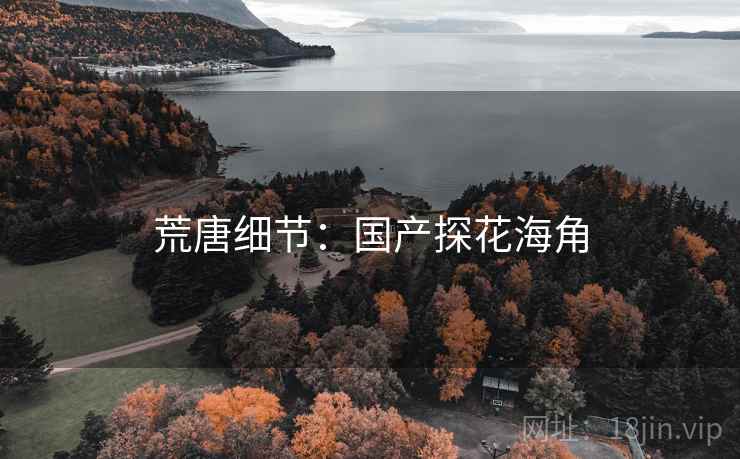 荒唐细节:国产探花海角