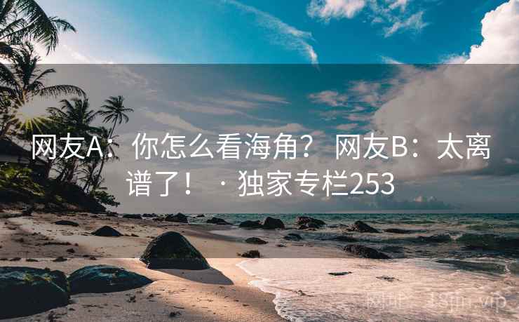 网友A:你怎么看海角? 网友B:太离谱了! · 独家专栏253