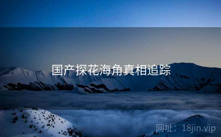 国产探花海角真相追踪