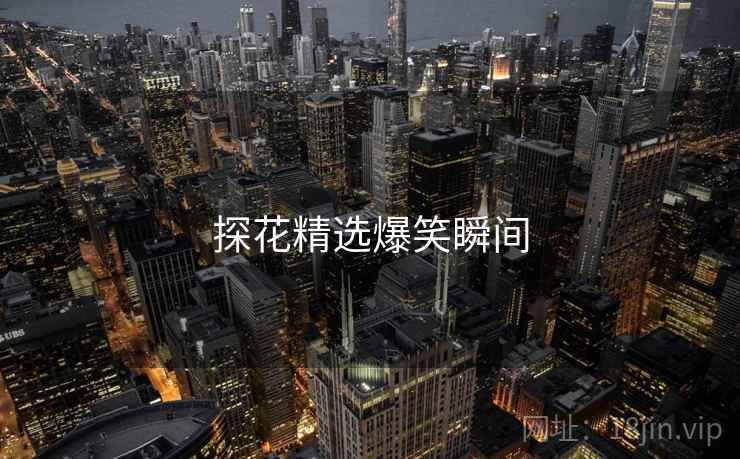 探花精选爆笑瞬间