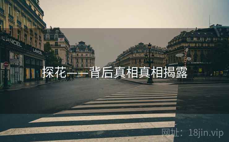 探花——背后真相真相揭露