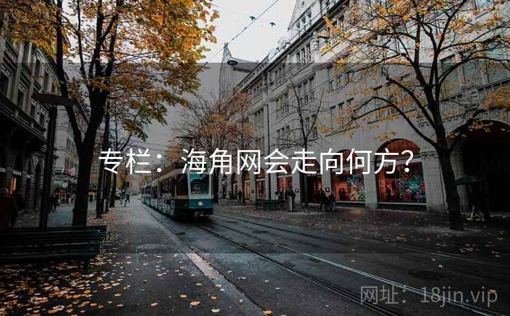 专栏:海角网会走向何方?