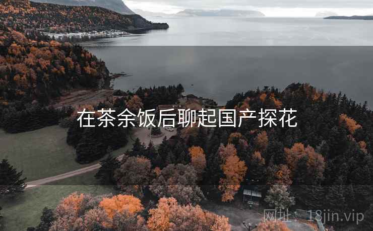 在茶余饭后聊起国产探花