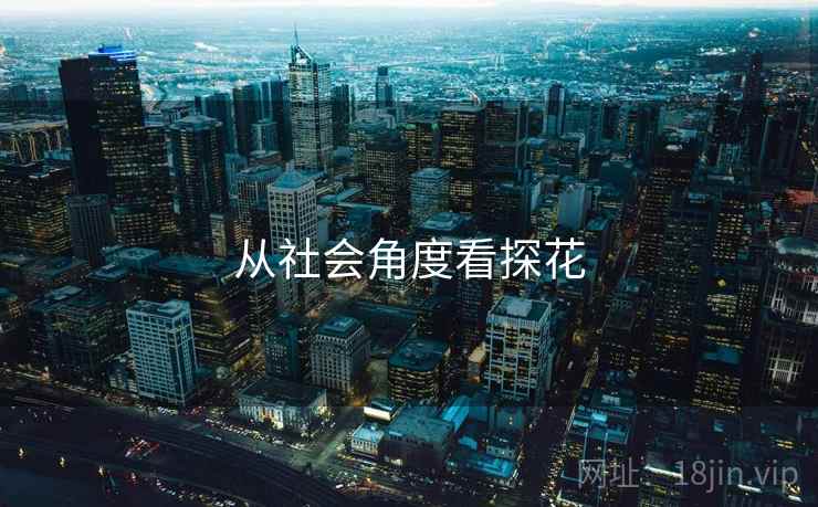 详细阅读:从社会角度看探花 从社会角度看探花