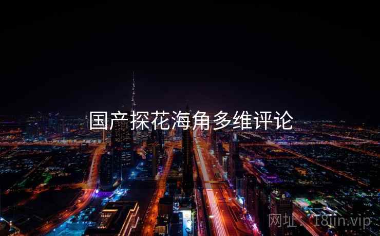 国产探花海角多维评论
