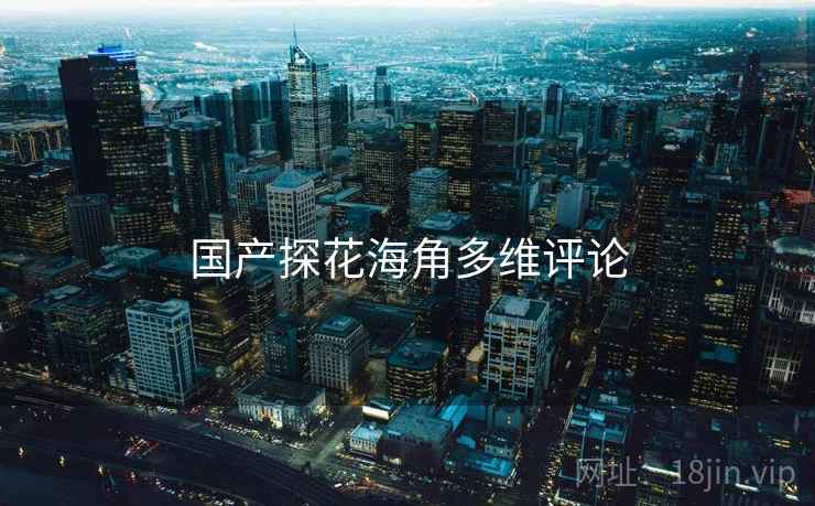 国产探花海角多维评论